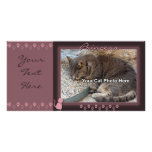 Kitty Frame PhotoCard Photo Card Template