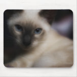 Kitty Glamour Mousepad