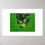 kitty goes prowlin... print