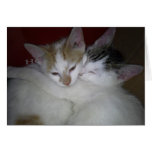 kitty hugs greeting cards