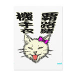 Kitty Joke and parody