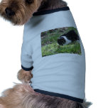 kitty kat dog clothing