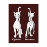 Kitty kitty postcards