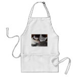Kitty Love aprons