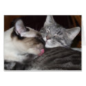 Kitty Love cards