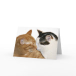 kitty love card