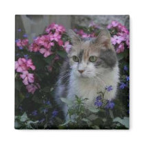 Kitty Love Magnet