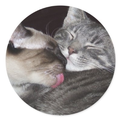 Kitty Love Round Sticker by BowNRanch