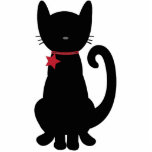Kitty Magnet Photo Sculptures