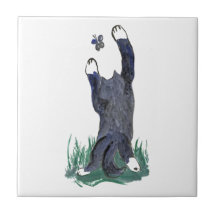 Kitty Makes a Stretching Leap toward Flutter-by Ceramic Tile