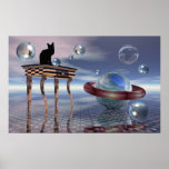 Kitty meets an alien cat