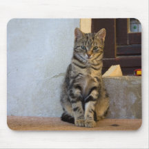 Kitty Mouse Mat