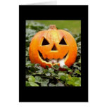 kitty pumpkin cards