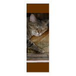 Kitty Sleep Bookmark business cards