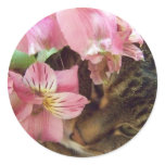 kitty smelling Flower stickers