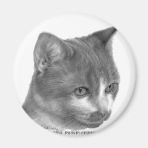 Kitty, Tabby Cat Refrigerator Magnets