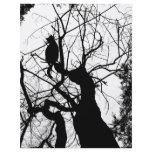 KITTY TREE SILHOUETTE B&W flyers