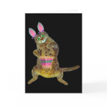 Kitty with Easter basket cards