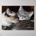 Kity Love posters