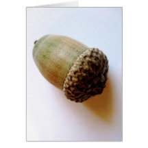 KIW Sparks: Acorn Card