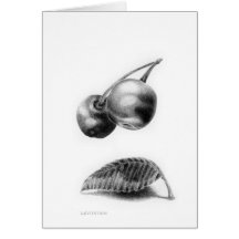 KIW Sparks: Levitation Card