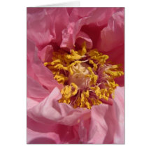 KIW Sparks: Tree Peony 2 Card