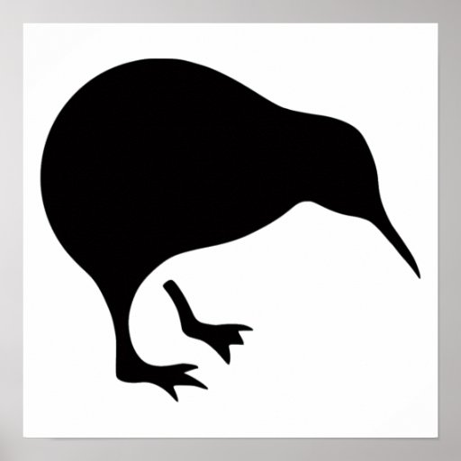 Kiwi All blacks and All Whites New Zealand gear Poster