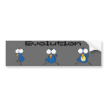 Kiwi "Evolution" bumper stickers