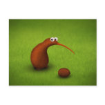 Kiwi Kiwi Post Card