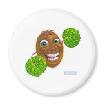 kiwi magnet