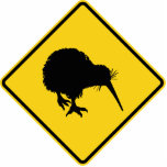 Kiwi Warning photo sculptures