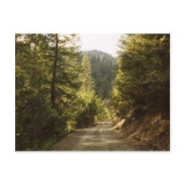 Klamath National Forest, Nfs Road 16N05 About 8 Mi Postcards