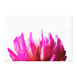 Klaver. Door FransJonker. Stretched Canvas Print