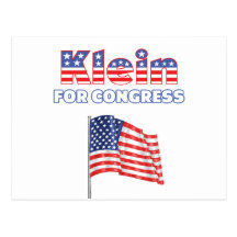 Klein for Congress Patriotic American Flag Design Post Card