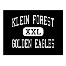 Klein Forest - Golden Eagles - High - Houston Postcard