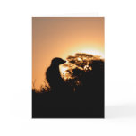 KMP Card 5 - Flava Flav sunset