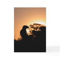 KMP Card 5 - Flava Flav sunset