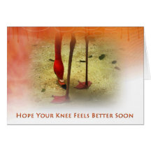 Knee Surgery Get Well Soon Pink Flamingo Greeting Card