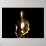 Knight in Shining Armor Poster