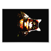 knight kitty cat art photo