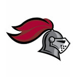 Knight's Helmet t-shirts