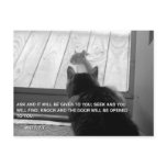 KNOCK postcards