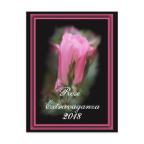 Knockout Rosebud Postcard- customise