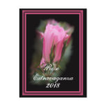 Knockout Rosebud Postcard- customise