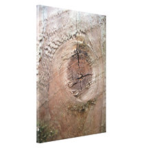 Knot in plank of wood canvas prints