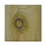 Knot in wood magnets