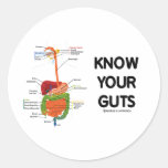 Know Your Guts (Digestive System Anatomical Humour Round Sticker
