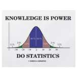 Knowledge Is Power Do Statistics (Stats Humor) Flyer