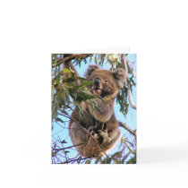 Koala Australia Greeting Card 