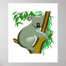 Koala - Australian Tree Living Marsupial Poster